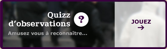 Quizz d'obervations : amusez vous a reconnaitre